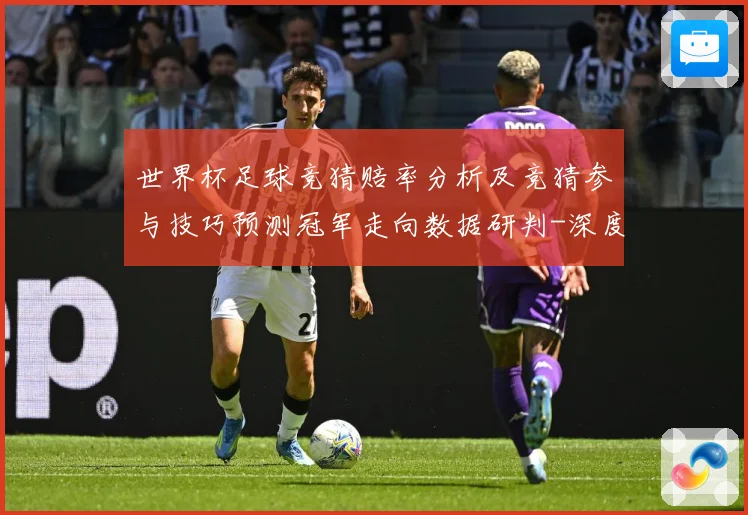 世界杯足球竞猜赔率分析及竞猜参与技巧预测冠军走向数据研判-深度解析