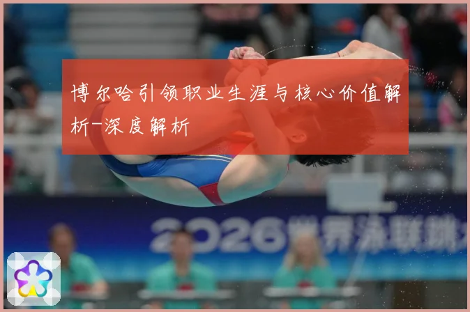 博尔哈引领职业生涯与核心价值解析-深度解析